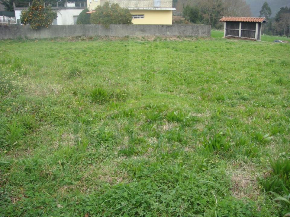 Terreno para Venda em Venade e Azevedo Foto 10