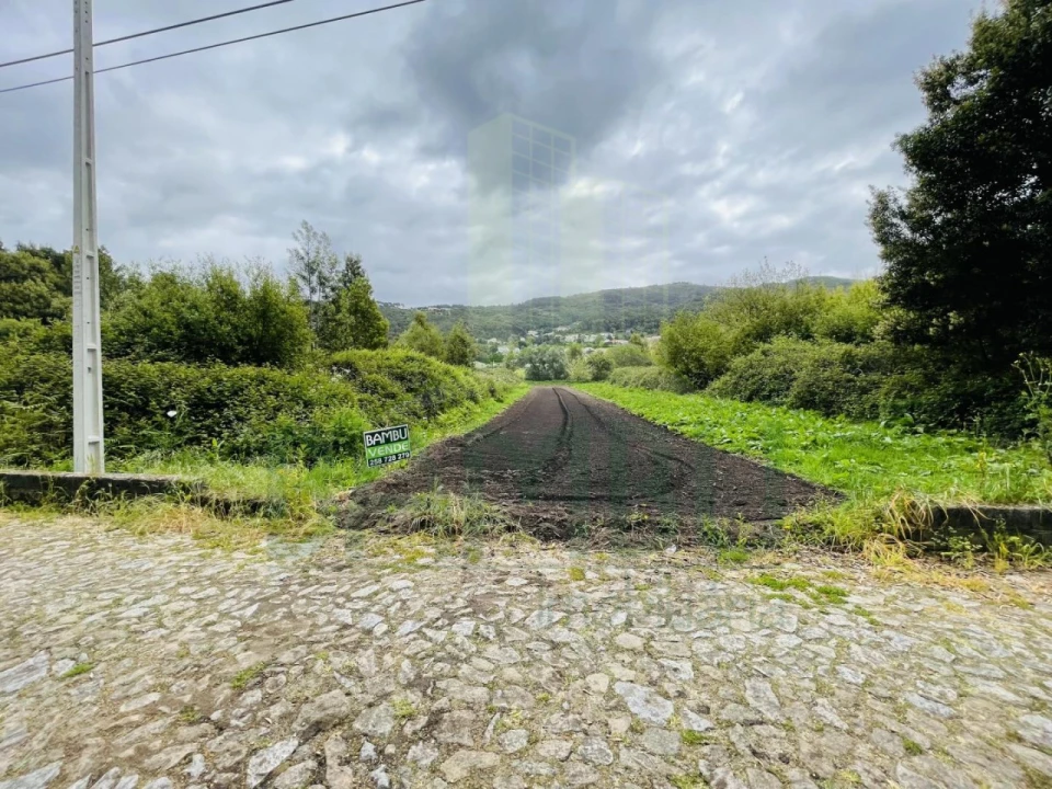 Terreno para Venda em Moledo e Cristelo Foto 3