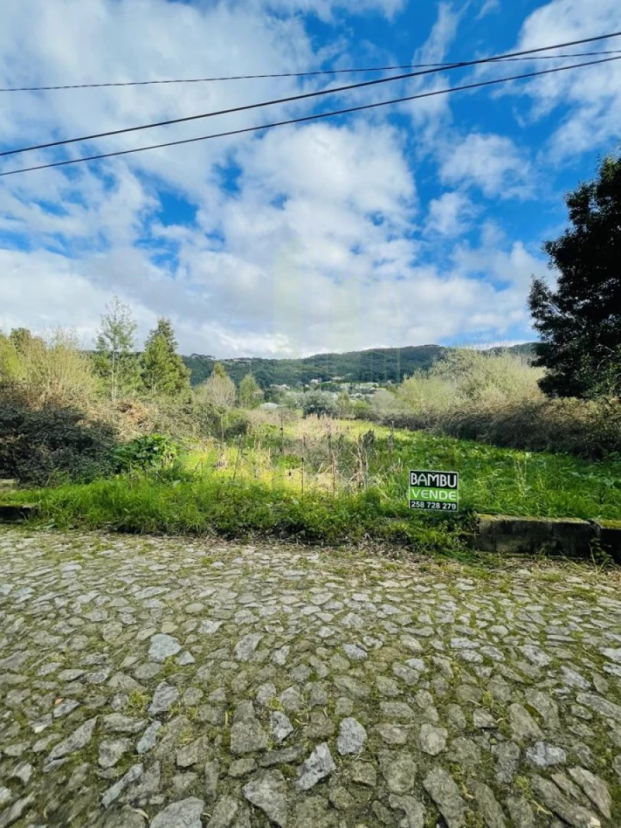 Terreno para Venda em Moledo e Cristelo Foto 4