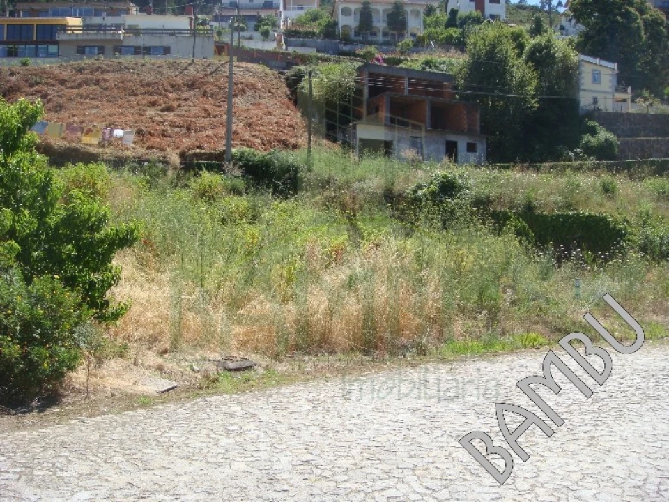Terreno para Venda em Seixas Foto 2
