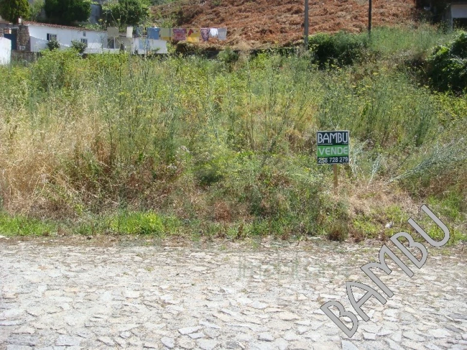 Terreno para Venda em Seixas Foto 3