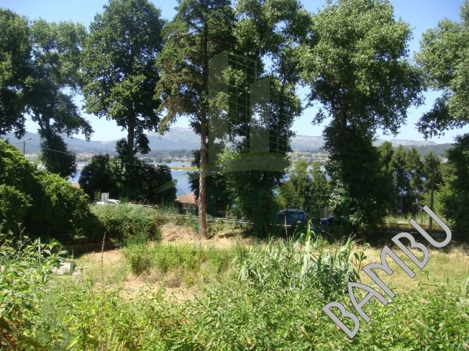 Terreno para Venda em Seixas Foto 6