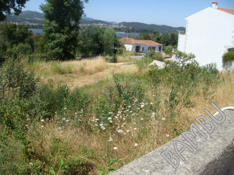 Terreno para Venda em Seixas Foto 7
