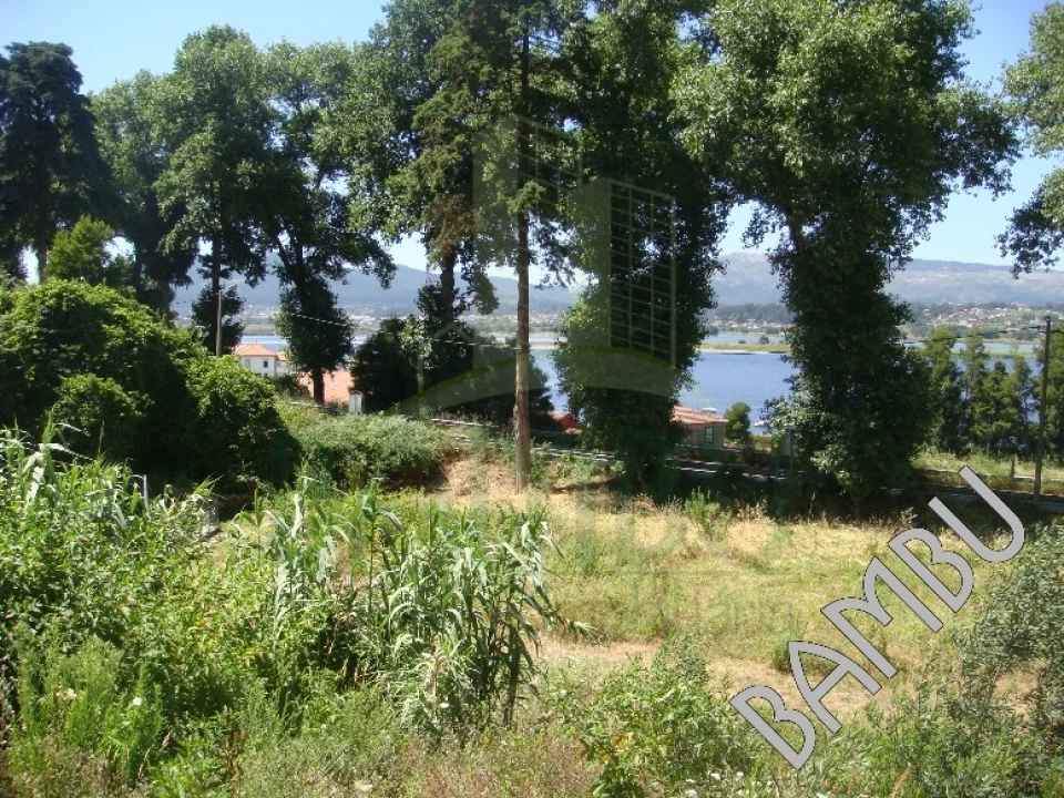 Terreno para Venda em Seixas Foto 8