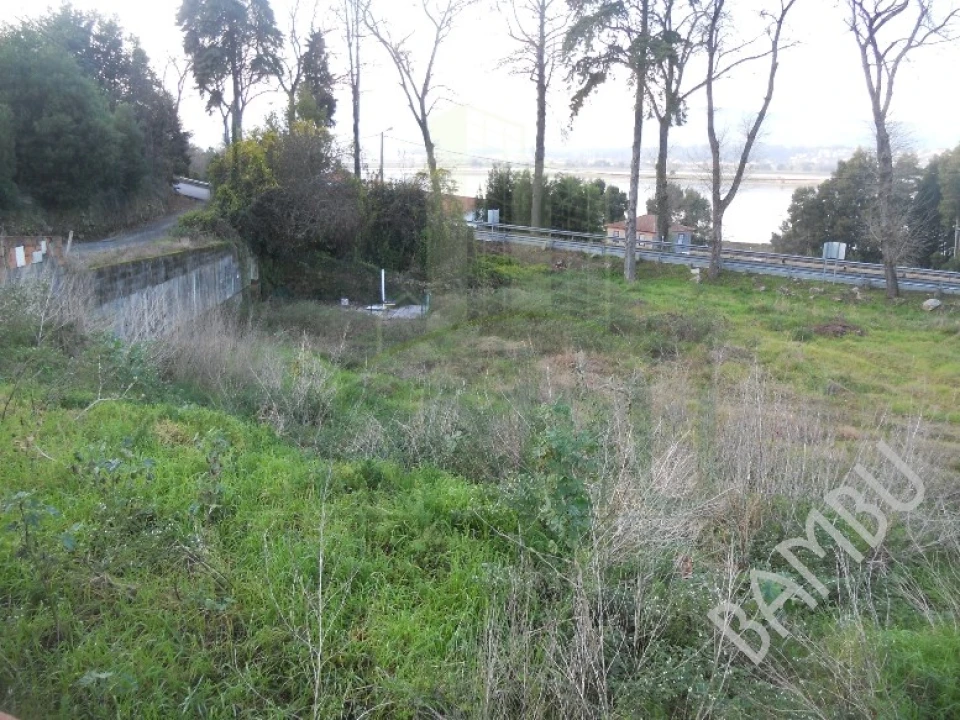 Terreno para Venda em Seixas Foto 13