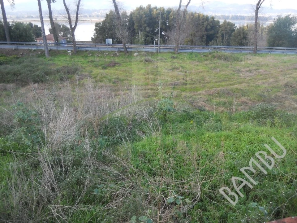 Terreno para Venda em Seixas Foto 14