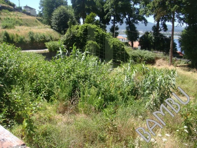 Terreno para Venda em Seixas Foto 9