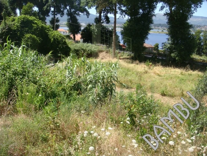 Terreno para Venda em Seixas Foto 10