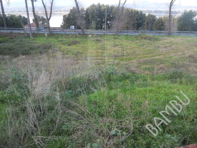 Terreno para Venda em Seixas Foto 14