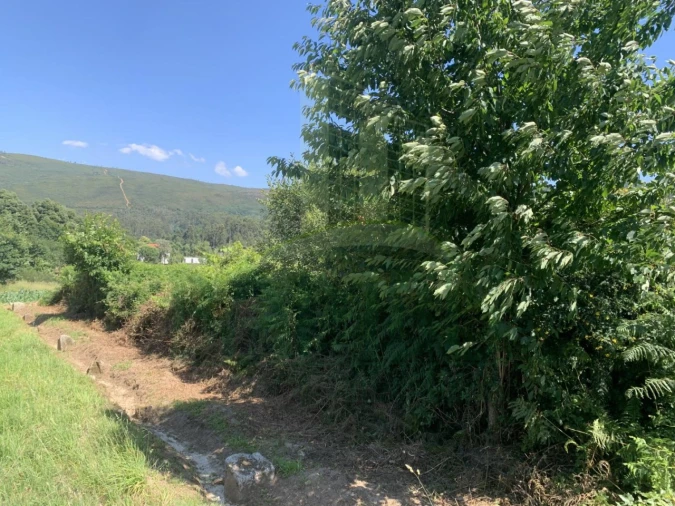 Terreno para Venda em Venade e Azevedo Foto 1