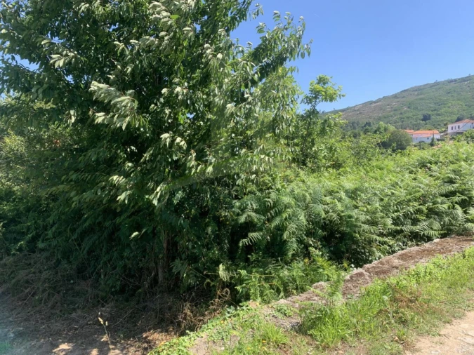 Terreno para Venda em Venade e Azevedo Foto 5
