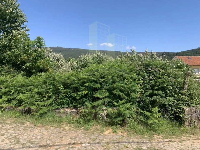 Terreno para Venda em Venade e Azevedo Foto 6