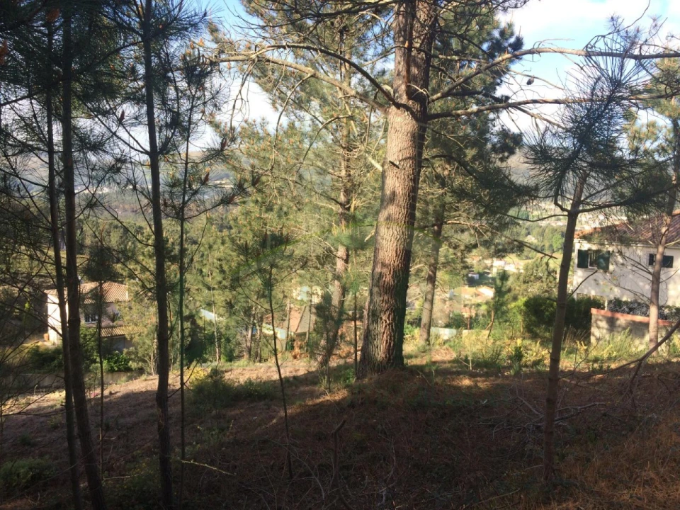 Terreno para Venda em Venade e Azevedo Foto 4