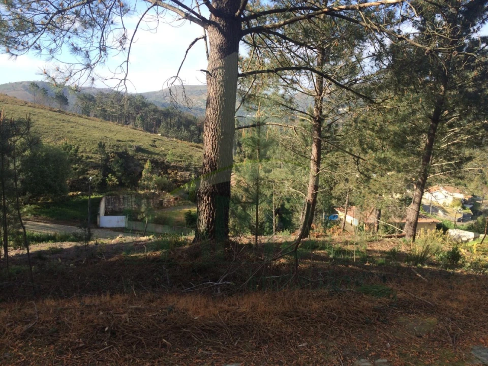 Terreno para Venda em Venade e Azevedo Foto 3