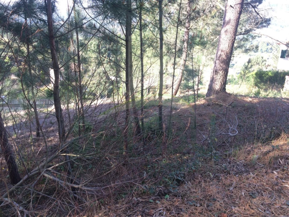 Terreno para Venda em Venade e Azevedo Foto 5