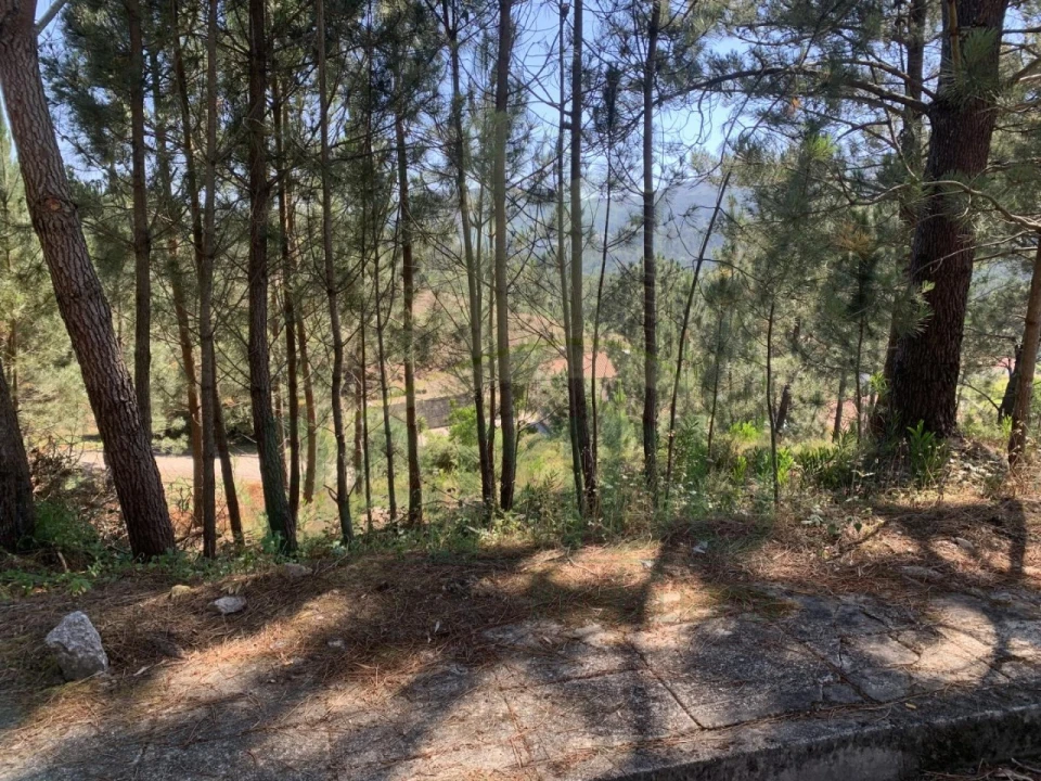 Terreno para Venda em Venade e Azevedo Foto 2