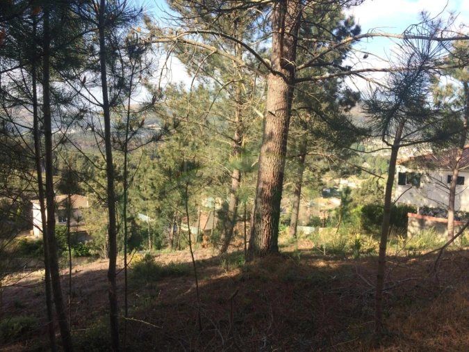 Terreno para Venda em Venade e Azevedo Foto 4