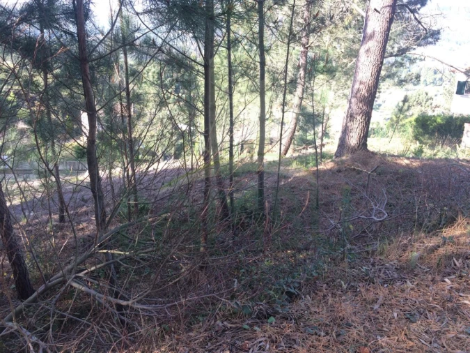 Terreno para Venda em Venade e Azevedo Foto 5