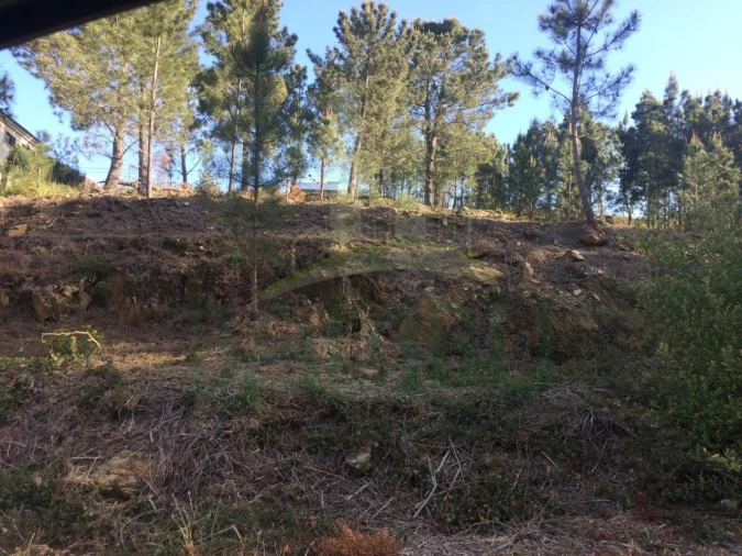 Terreno para Venda em Venade e Azevedo Foto 6
