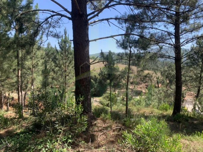 Terreno para Venda em Venade e Azevedo Foto 8