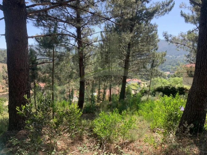 Terreno para Venda em Venade e Azevedo Foto 9