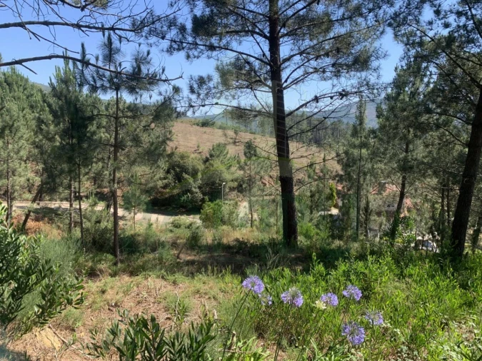 Terreno para Venda em Venade e Azevedo Foto 10