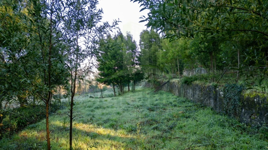 Terreno para Venda em Vilar de Mouros Foto 4