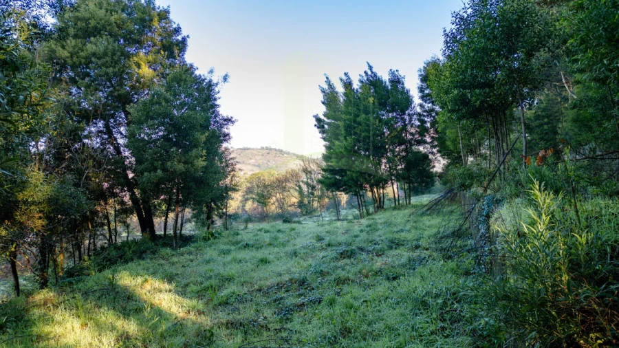 Terreno para Venda em Vilar de Mouros Foto 5
