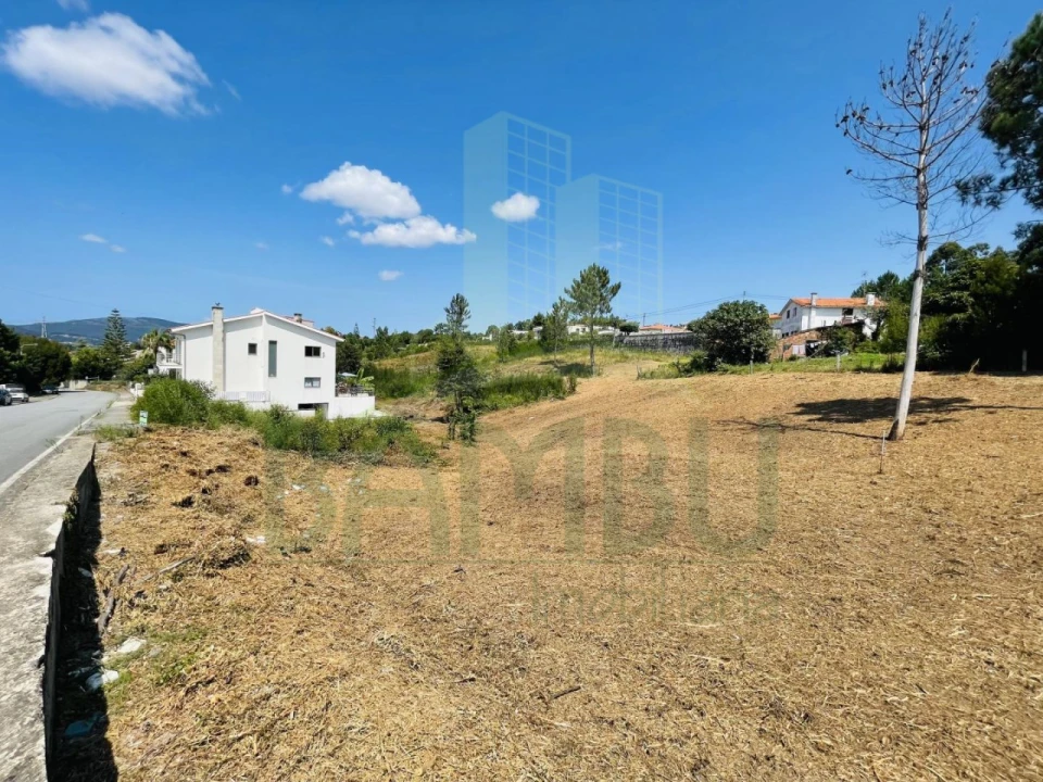 Terreno para Venda em Seixas Foto 6