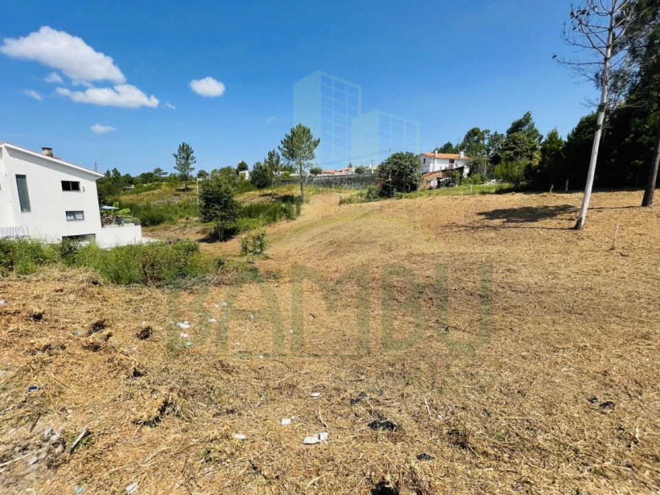 Terreno para Venda em Seixas Foto 7