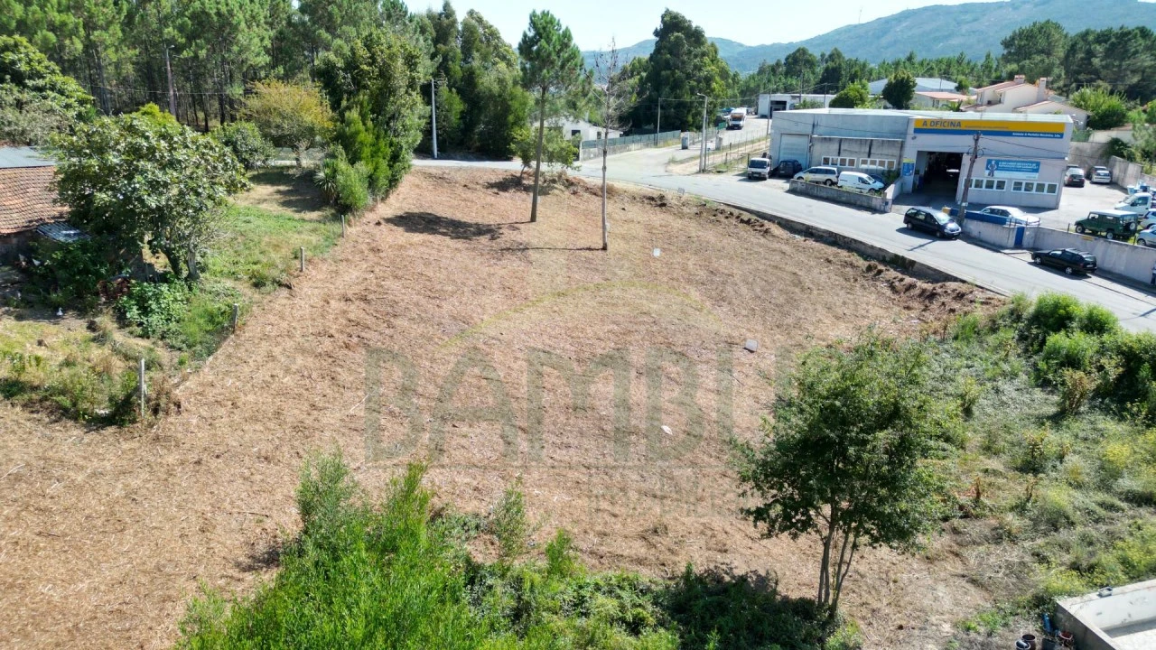 Terreno para Venda em Seixas Foto 9