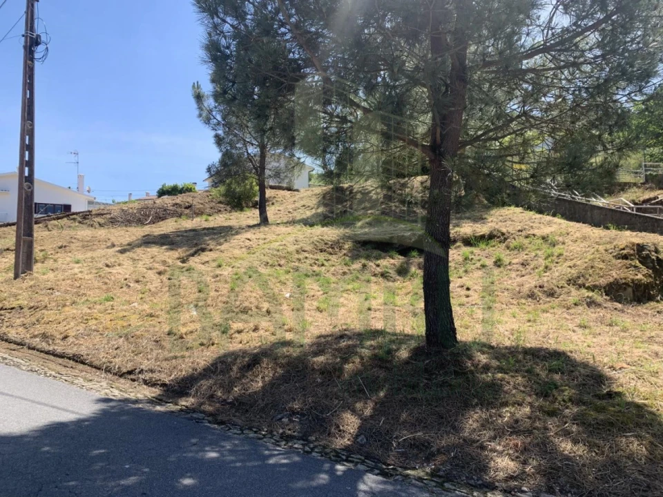 Terreno para Venda em Seixas Foto 5