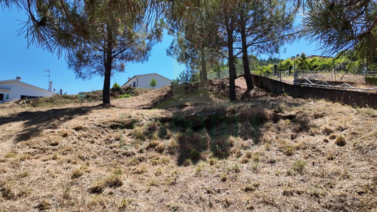 Terreno para Venda em Seixas Foto 10