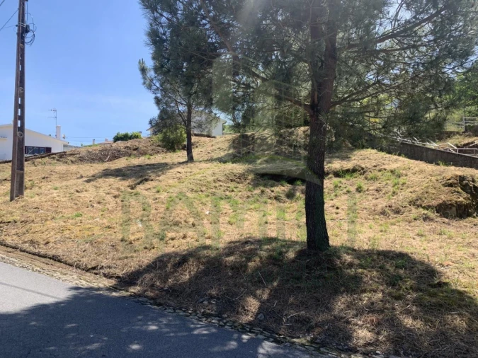 Terreno para Venda em Seixas Foto 5