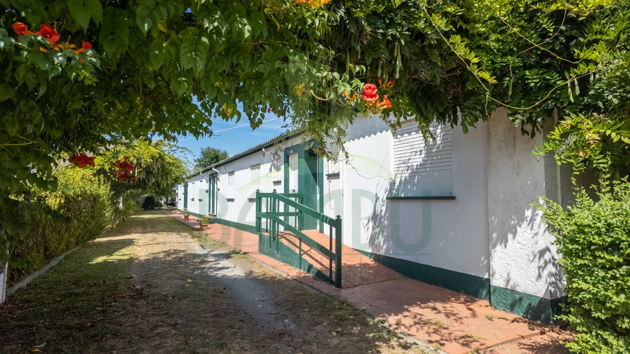 Negócio para Venda em Seixas Foto 32