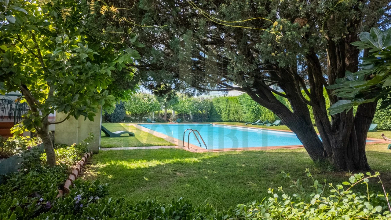 Negócio para Venda em Seixas Foto 41