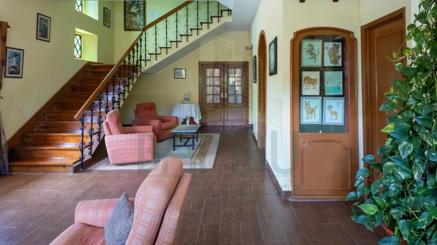 Negócio para Venda em Seixas Foto 3