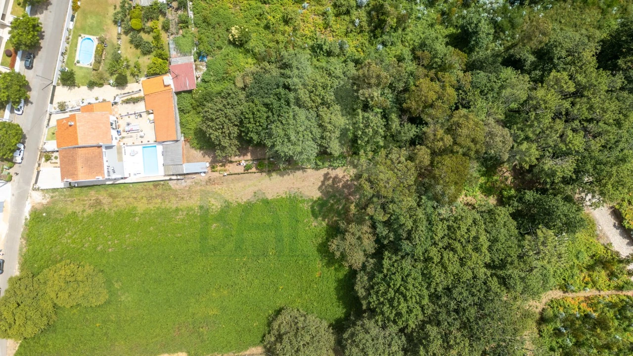 Terreno para Venda em Seixas Foto 3