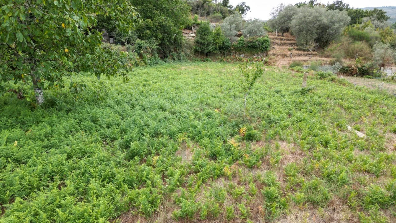 Terreno para Venda em Gondomil e Sanfins Foto 1