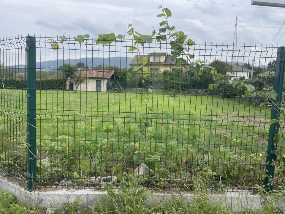 Terreno para Arrendamento em Gandra e Taião Foto 4
