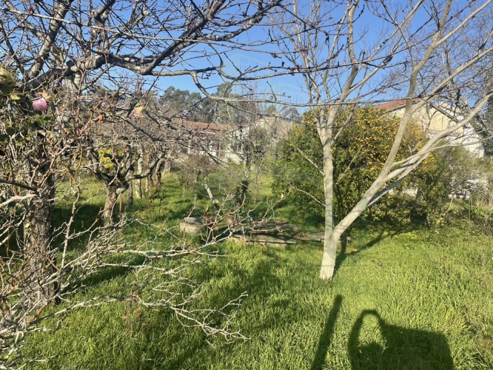 Moradia para Venda em São Pedro da Torre Foto 5