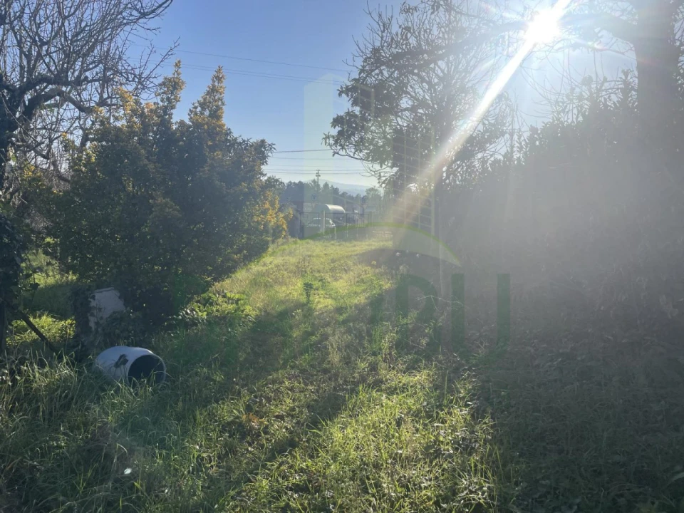 Moradia para Venda em São Pedro da Torre Foto 11