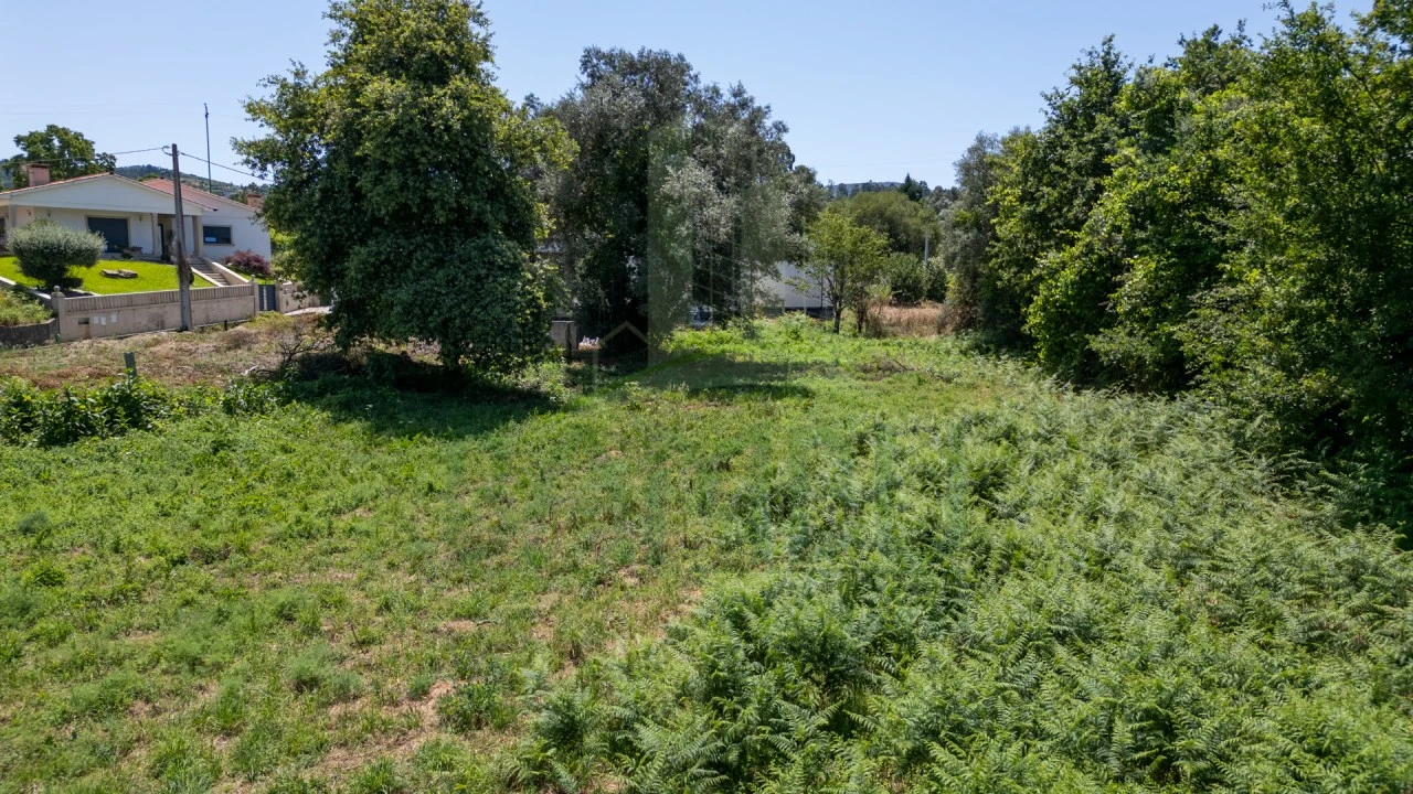 Terreno para Venda em São Julião e Silva Foto 5