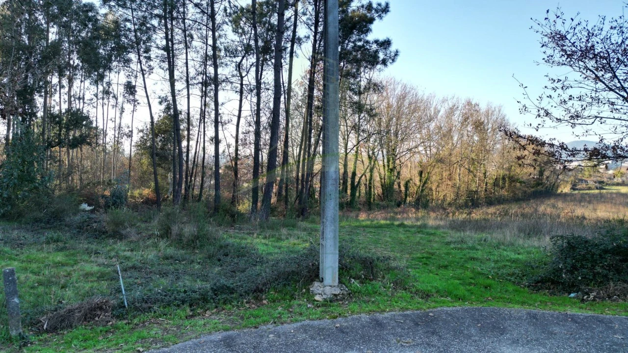 Terreno para Venda em Gandra e Taião Foto 9