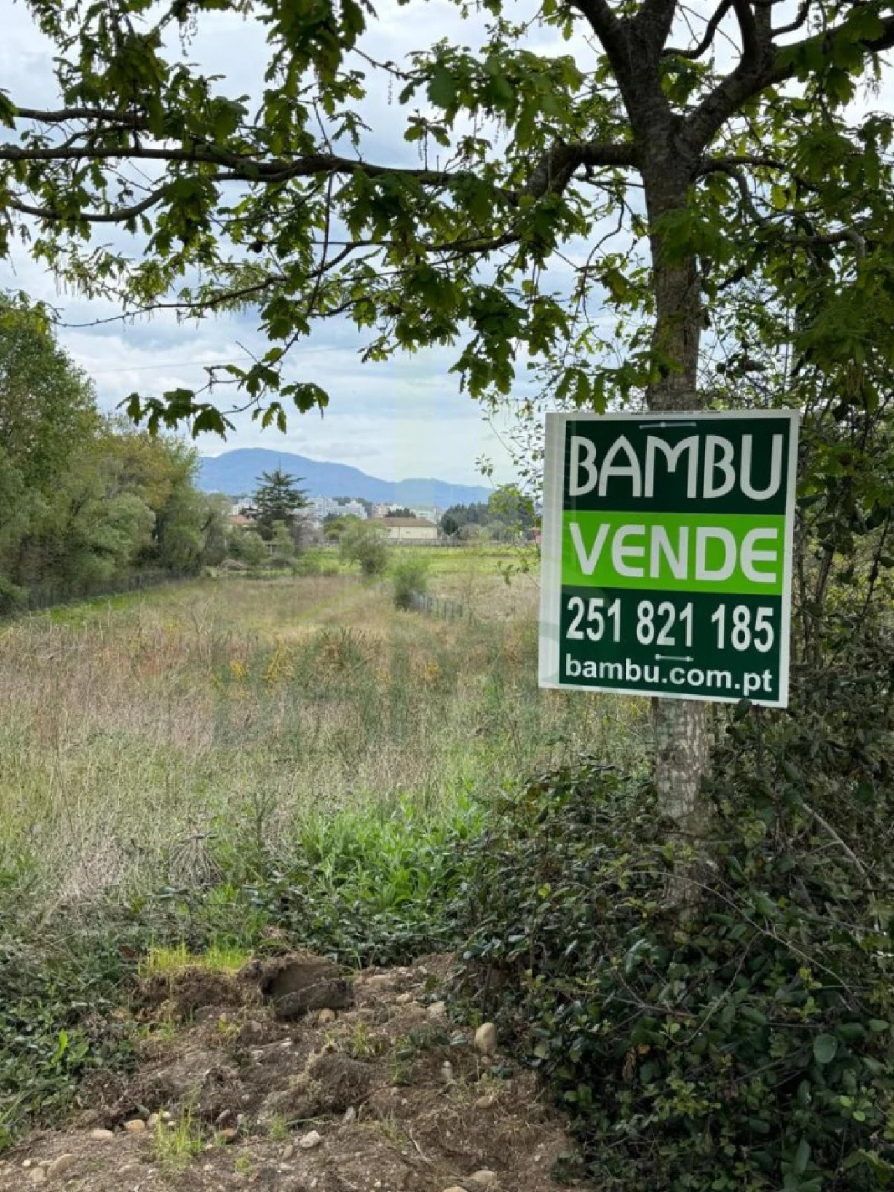 Terreno para Venda em Gandra e Taião Foto 11