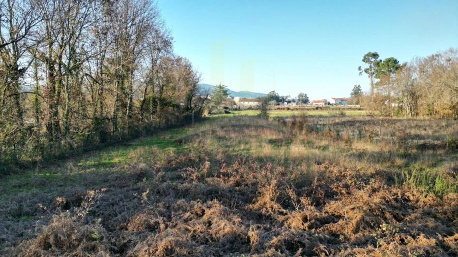 Terreno para Venda em Gandra e Taião Foto 4