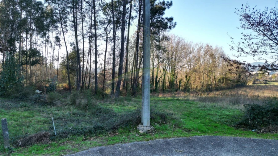 Terreno para Venda em Gandra e Taião Foto 9