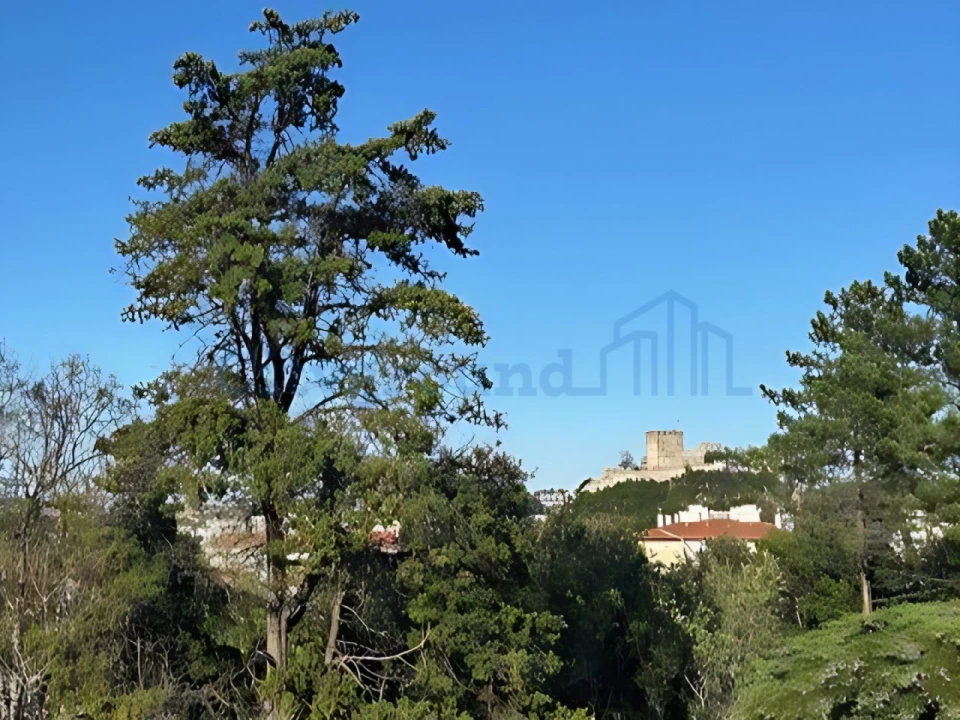 Apartamento T3 para Venda em Leiria, Pousos, Barreira e Cortes Foto 23