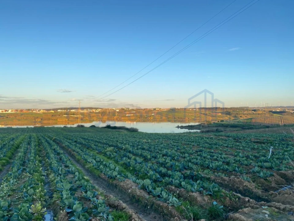 Moradia T4 para Venda em Atouguia da Baleia Foto 25