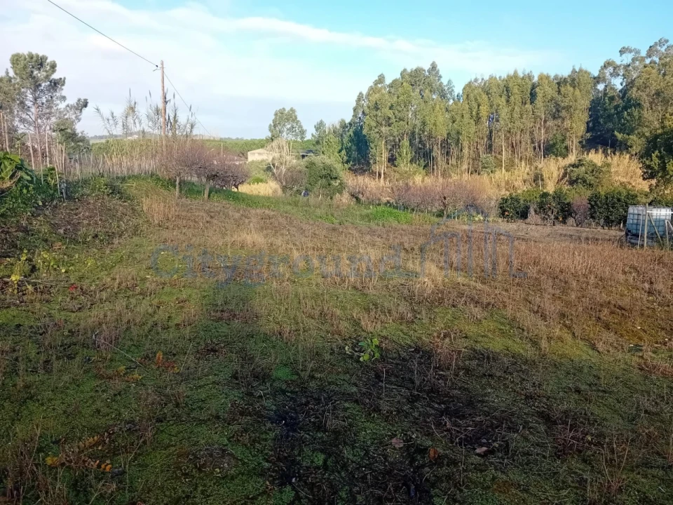 Terreno para Venda em Leiria, Pousos, Barreira e Cortes Foto 4